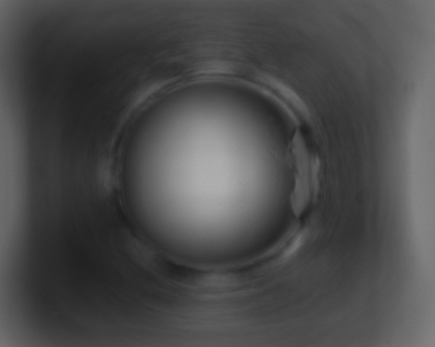 X0000101411212200807071248