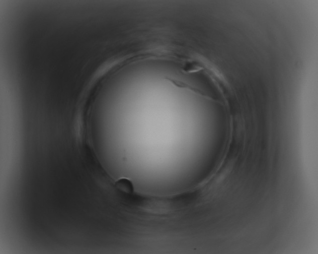 X0000101411215200807071248