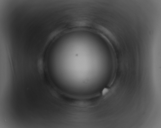 X0000101411218200807071248