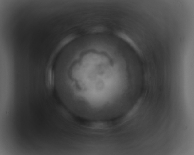 X0000101411219200807071248