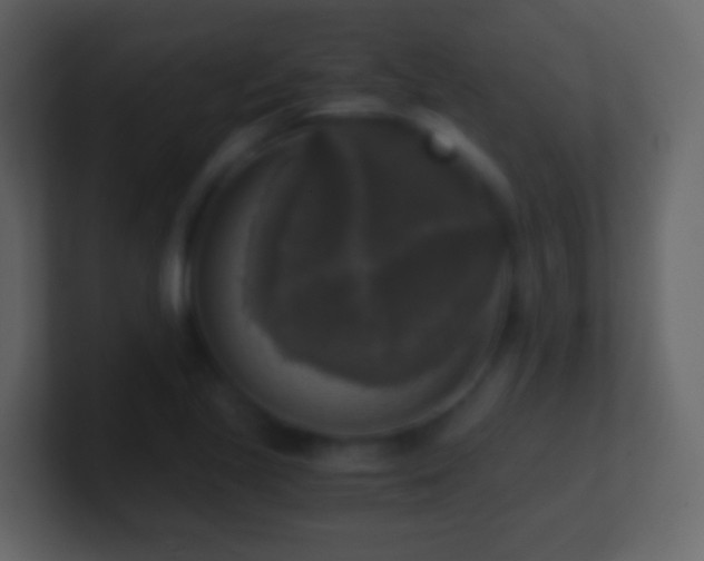 X0000101411221200807071248