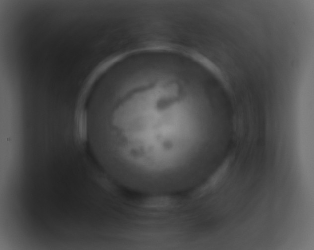 X0000101411223200807071248