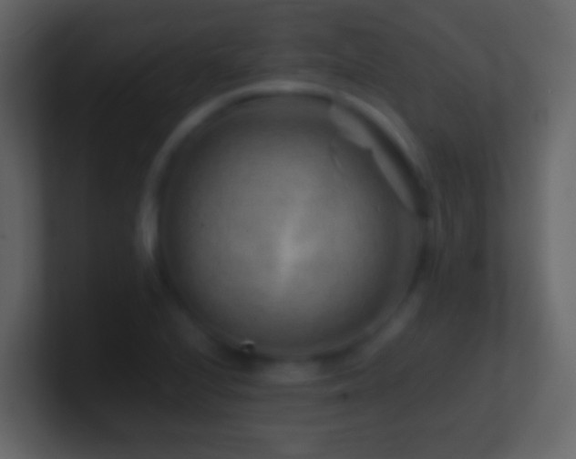 X0000101411224200807071248