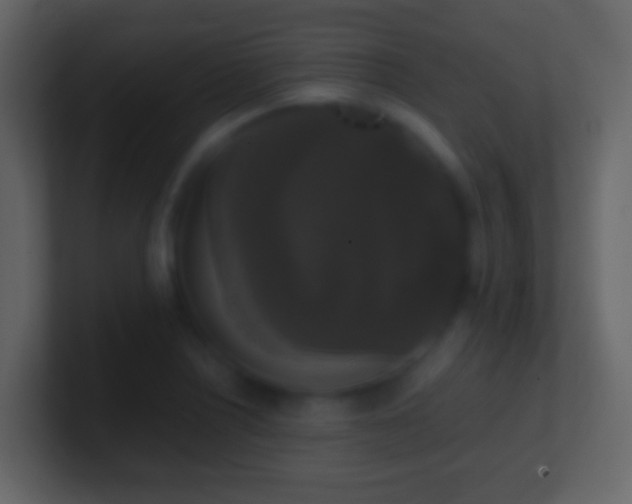 X0000101411226200807071248