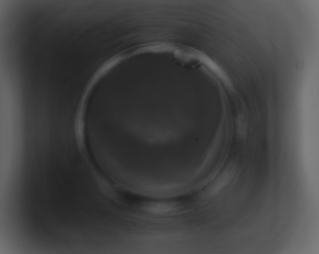 X0000101411229200807071248