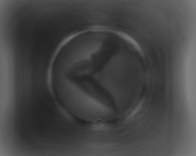 X0000101411231200807071248