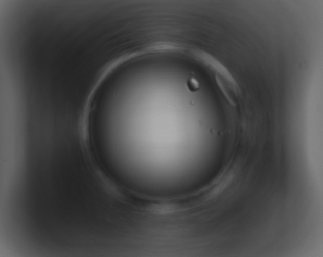 X0000101411236200807071248