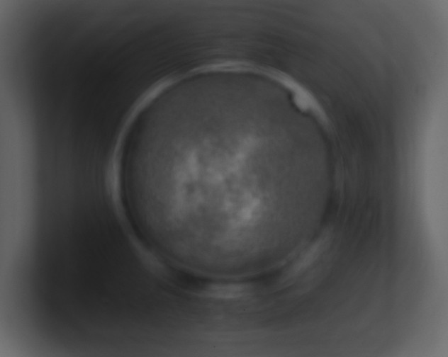 X0000101411237200807071248