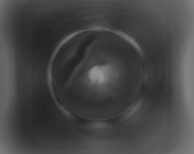 X0000101411239200807071248