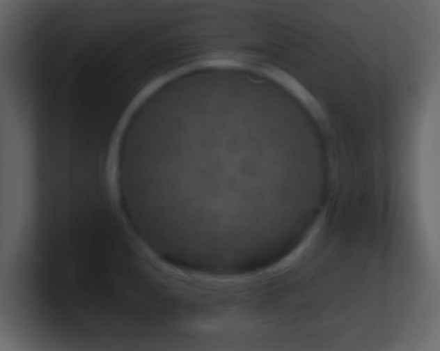 X0000101411240200807071248