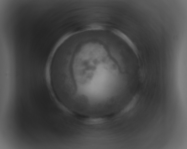 X0000101411243200807071248