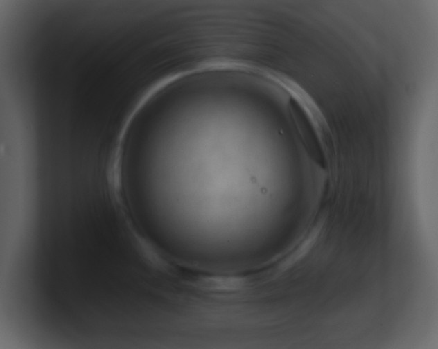 X0000101411244200807071248