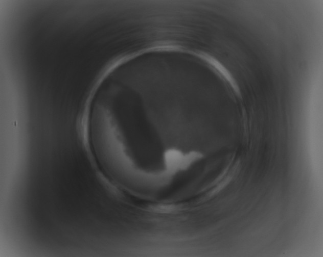 X0000101411245200807071248