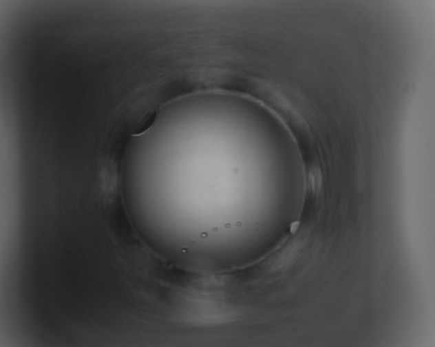 X0000101411251200807071247