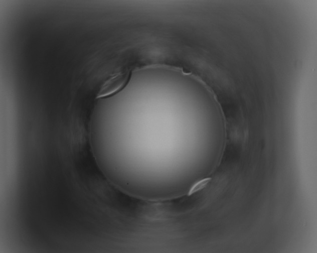 X0000101411253200807071247
