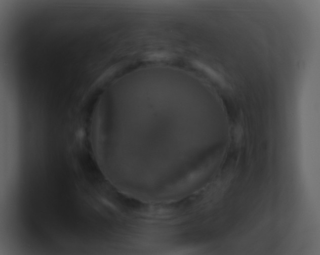 X0000101411254200807071247