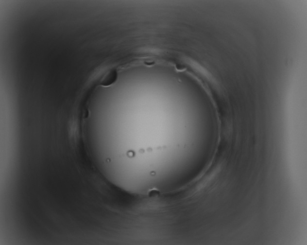 X0000101411259200807071247