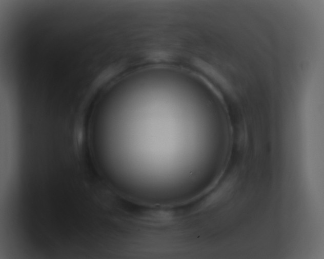 X0000101411261200807071247