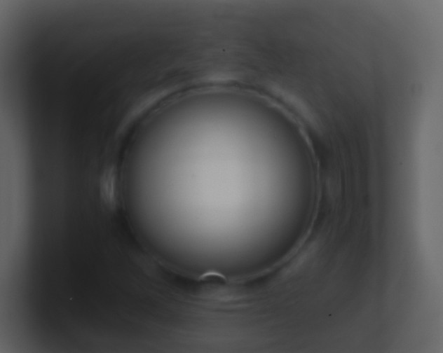 X0000101411262200807071247