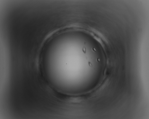 X0000101411264200807071247