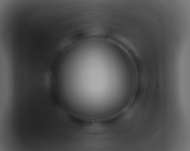 X0000101411265200807071247