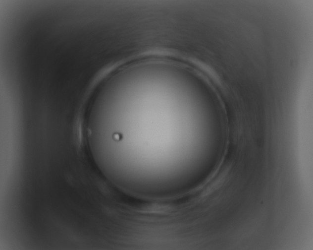 X0000101411271200807071247