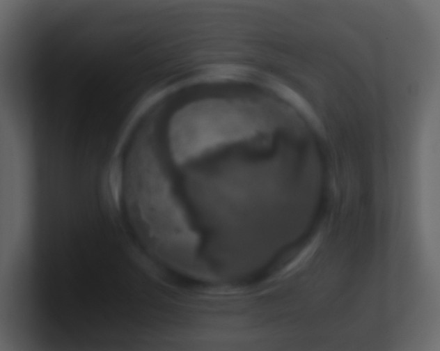 X0000101411275200807071247