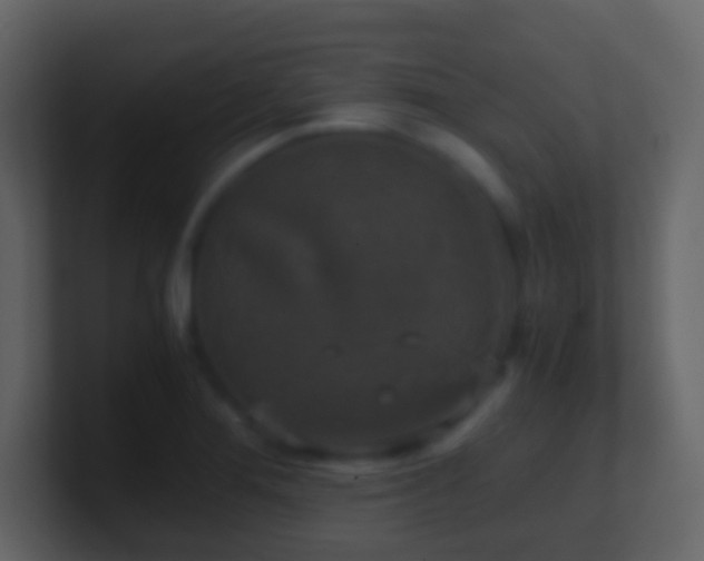 X0000101411276200807071247