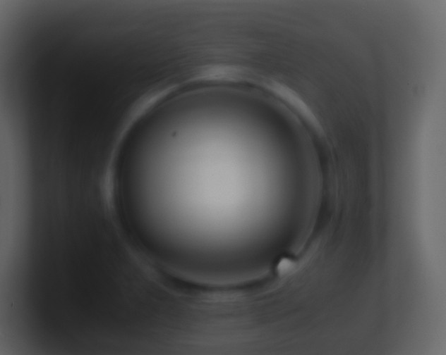 X0000101411277200807071247