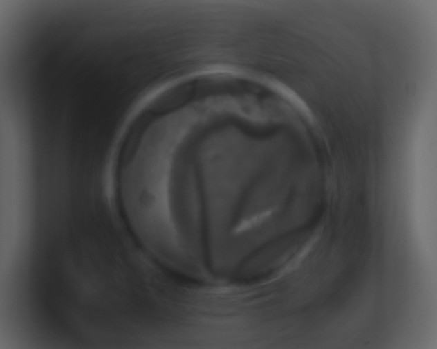 X0000101411279200807071247