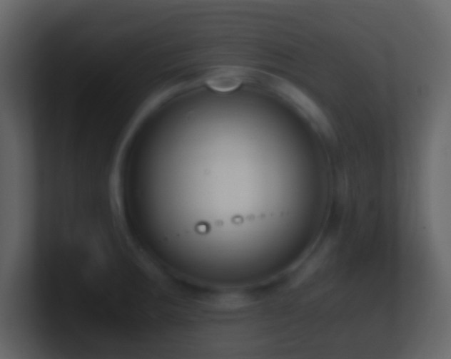 X0000101411283200807071247