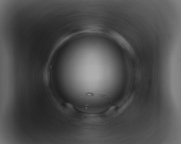 X0000101411284200807071247