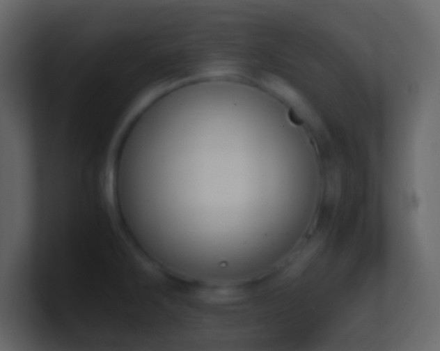 X0000101411286200807071247