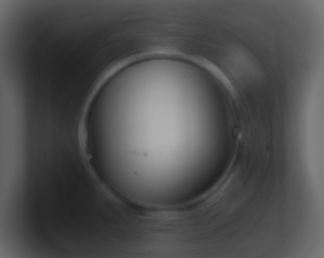 X0000101411287200807071247