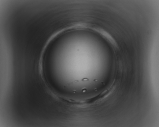 X0000101411288200807071247
