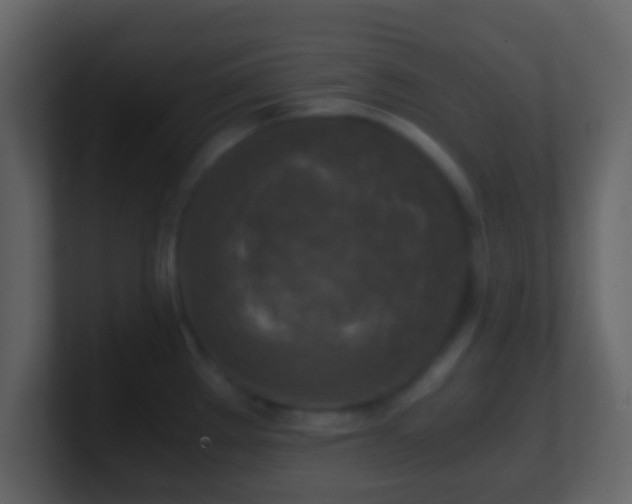 X0000101411289200807071247