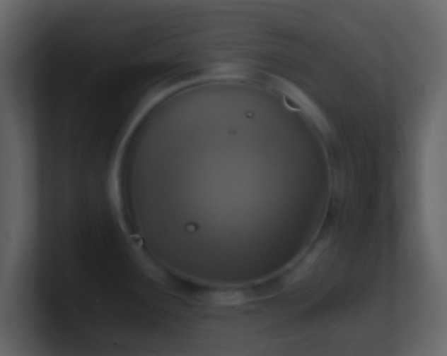 X0000101411291200807071247