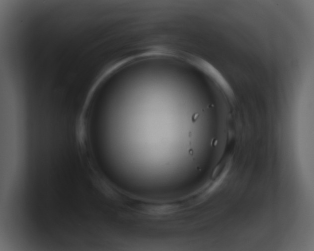 X0000101411292200807071247