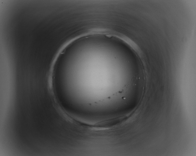 X0000101411296200807071247