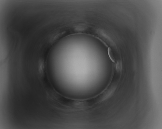 X0000101411299200807071246