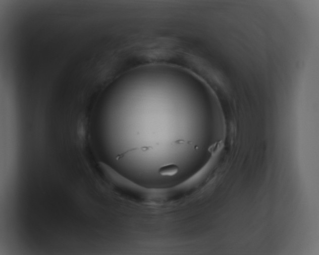 X0000101411300200807071246