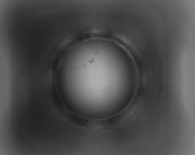 X0000101411301200807071246
