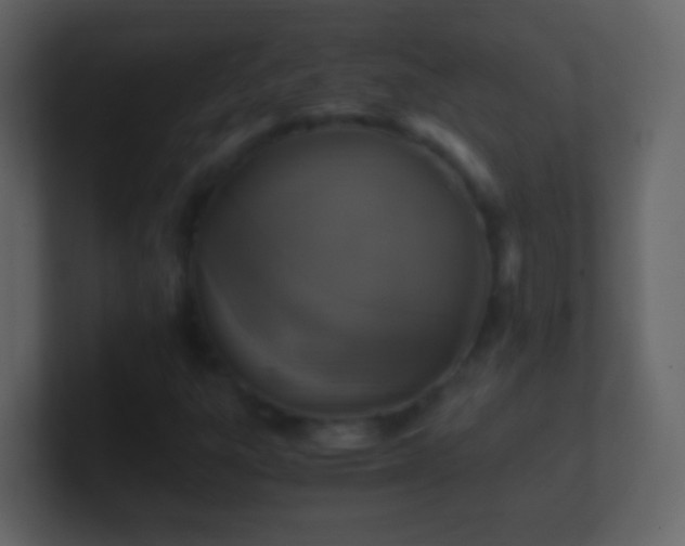 X0000101411303200807071246