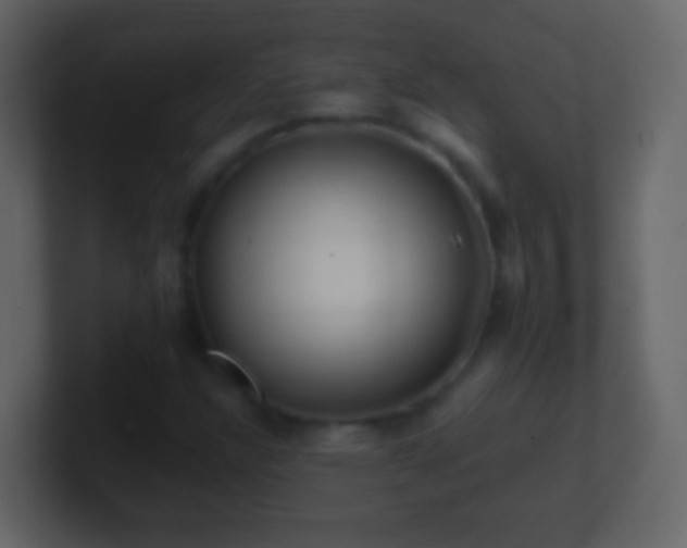 X0000101411304200807071246