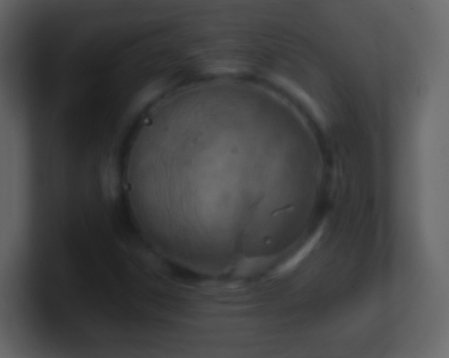 X0000101411306200807071246