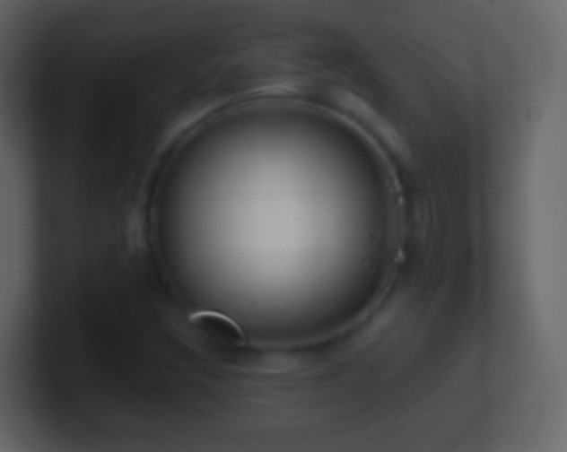 X0000101411308200807071246