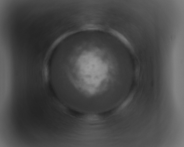 X0000101411310200807071246