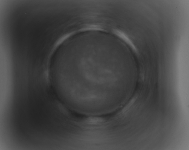 X0000101411312200807071246