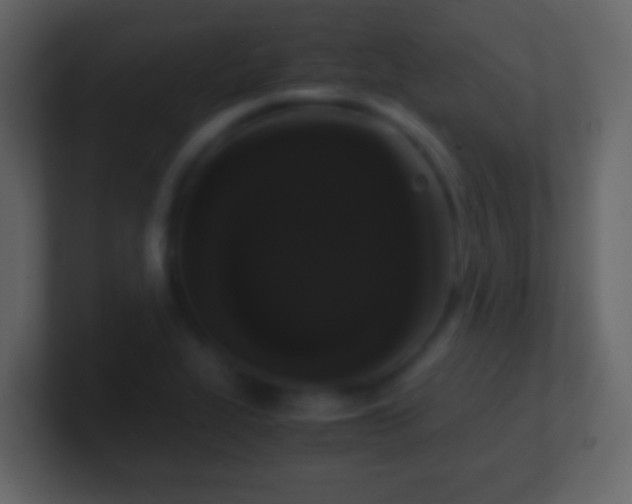 X0000101411319200807071246