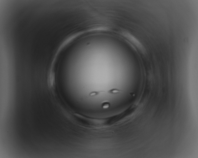 X0000101411324200807071246